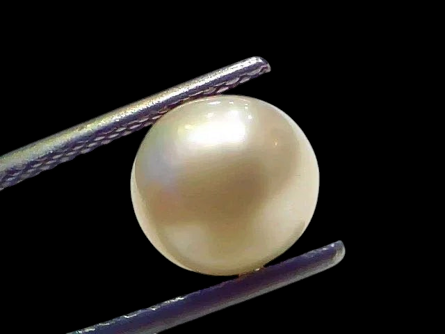 3.80 Ct Natural Certified Real South Sea Pearl Certified Moti - Venus Gems