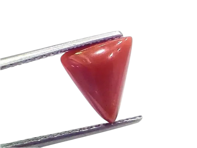 3.74 Ct 4.10 Ratti Natural Italian Triangle Red Coral Moonga Gemstone - Venus Gems
