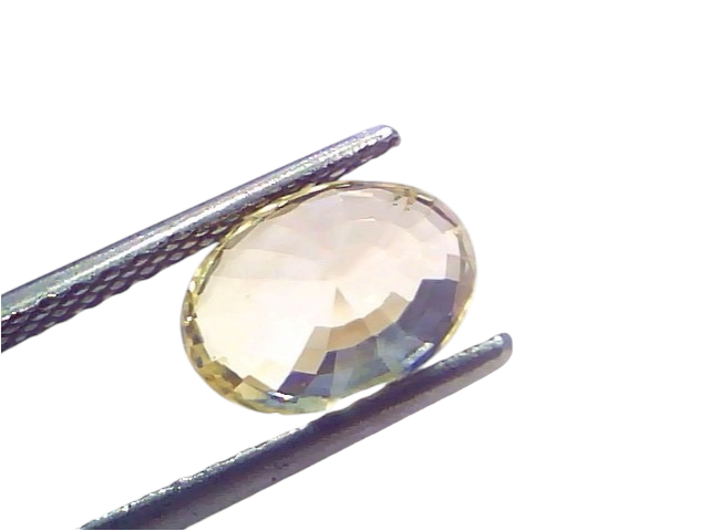 3.37 Ct IGI Certified Unheated Natural Ceylon Yellow Sapphire Pukhraj, oval cut, held with tweezers, showcasing its brillianc