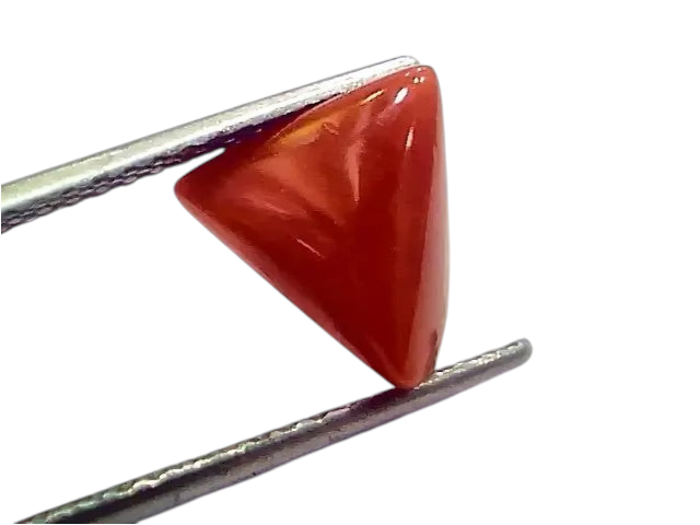 3.74 Ct 4.10 Ratti Natural Italian Triangle Red Coral Moonga Gemstone - Venus Gems