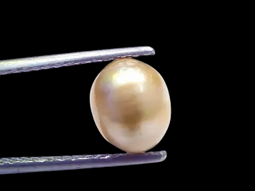 3.43 Ct 7.66 Chaw Natural Real Basra Pearl Moti Certified *RARE - Venus Gems