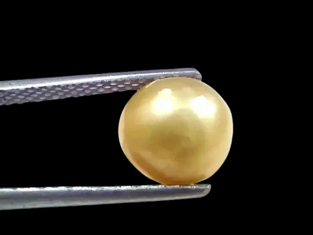 3.41 Ct Certified Natural Venunjula Real Sea Pearl, Real Moti - Venus Gems