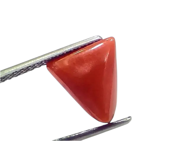 3.69 Ct 4.05 Ratti Natural Italian Triangle Red Coral Moonga Gemstone - Venus Gems