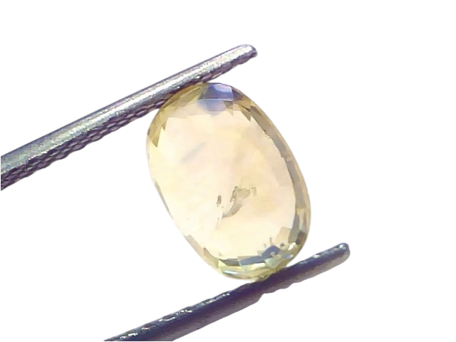 3.76 Ct IGI Certified unheated natural Ceylon yellow blue Pitambari sapphire, displayed in tweezers against a white backgroun
