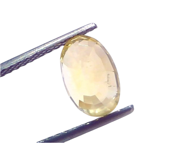 3.60 Ct IGI Certified Unheated Natural Ceylon Yellow Sapphire Pukhraj, oval cut, held with tweezers, showcasing its brillianc