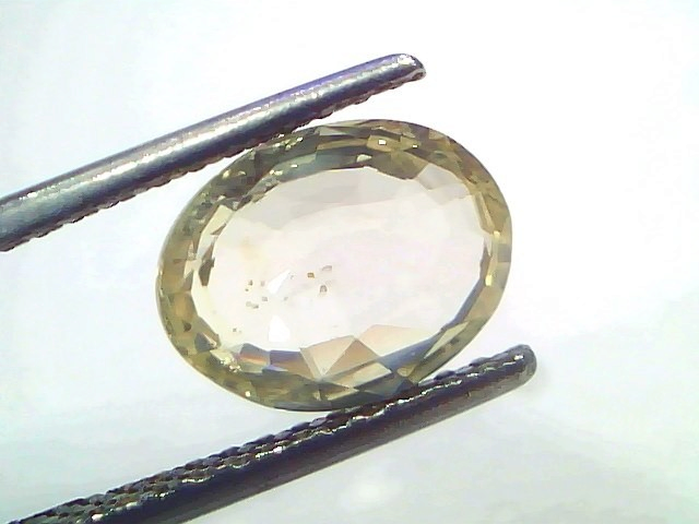 3.07 Ct Certified Unheated Natural Ceylon Yellow Sapphire Pukhraj displayed between tweezers, showcasing its oval cut and cla