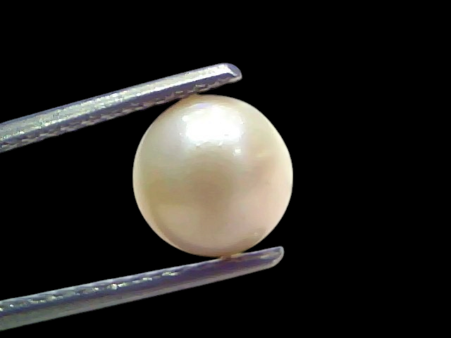 Venus Gems 3.70 carat natural white South Sea pearl held in tweezers, showcasing a round shape and excellent luster.