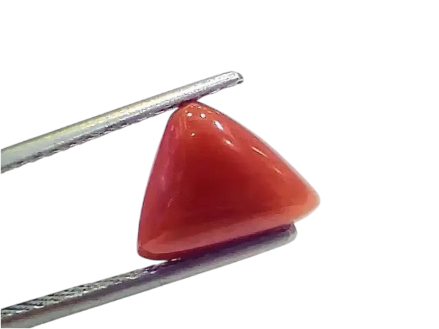 3.80 Ct 4.17 Ratti Natural Italian Triangle Red Coral Moonga Gemstone - Venus Gems