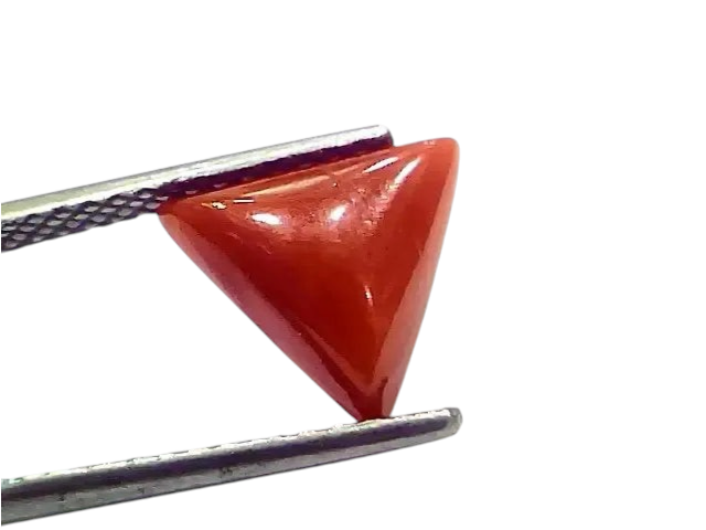 3.66 Ct 4.02 Ratti Natural Italian Triangle Red Coral Moonga Gemstone - Venus Gems