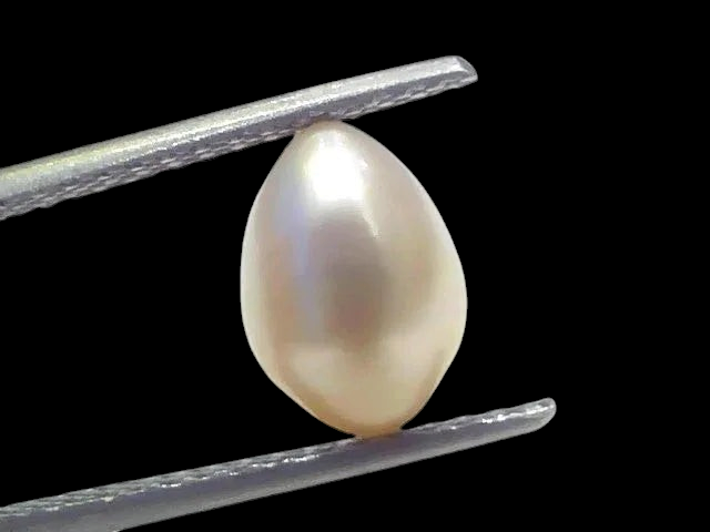 3.57 Ct Certified Natural Venunjula Real Sea Pearl Real Moti For Moon - Venus Gems