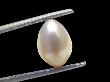 3.57 Ct Certified Natural Venunjula Real Sea Pearl Real Moti For Moon - Venus Gems