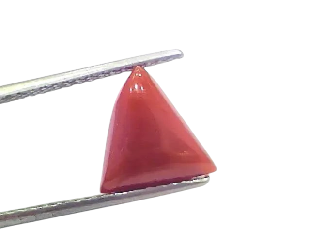 3.78 Ct 4.15 Ratti Natural Italian Triangle Red Coral Moonga Gemstone - Venus Gems