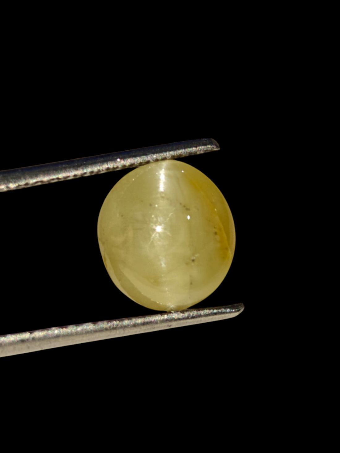 Venus Gems 3.23 carat natural green Chrysoberyl Cat's Eye gemstone with sharp chatoyancy in an oval cabochon cut.