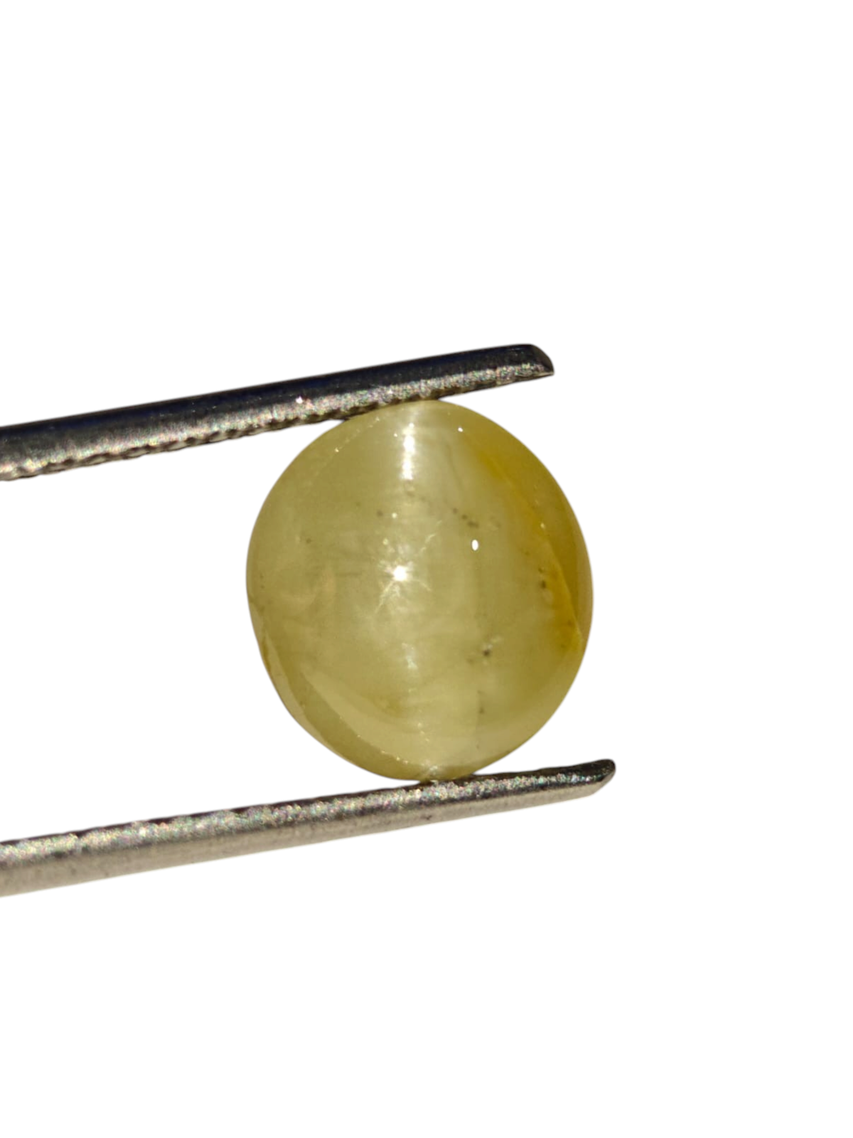 Venus Gems 3.23 carat natural green Chrysoberyl Cat's Eye gemstone with sharp chatoyancy in an oval cabochon cut.