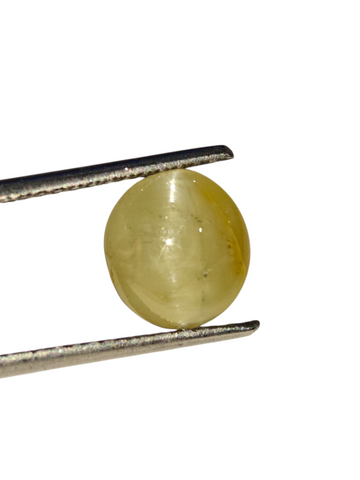 Venus Gems 3.23 carat natural green Chrysoberyl Cat's Eye gemstone with sharp chatoyancy in an oval cabochon cut.
