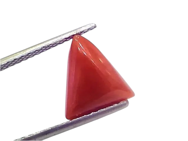 3.69 Ct 4.05 Ratti Natural Italian Triangle Red Coral Moonga Gemstone - Venus Gems