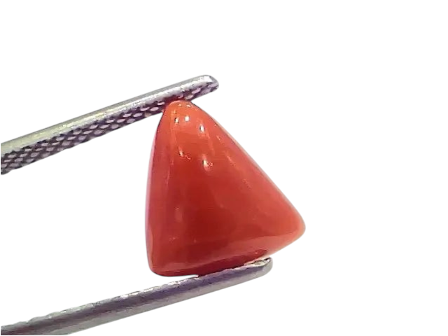 3.43 Ct 3.76 Ratti Natural Italian Triangle Red Coral Moonga Gemstone - Venus Gems