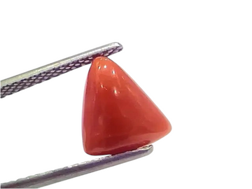 3.43 Ct 3.76 Ratti Natural Italian Triangle Red Coral Moonga Gemstone - Venus Gems