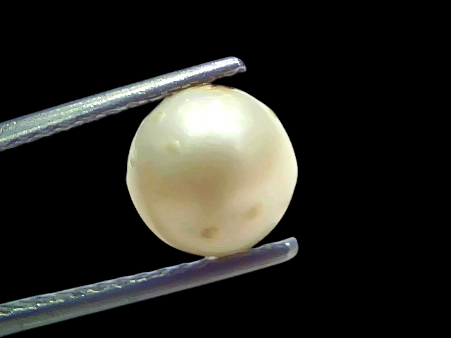 Venus Gems 3.82 carat natural white South Sea pearl with excellent luster held in metal tweezers