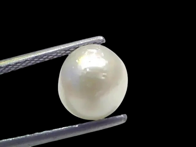 3.98 Ct Natural Certified Real South Sea Pearl Certified Moti - Venus Gems