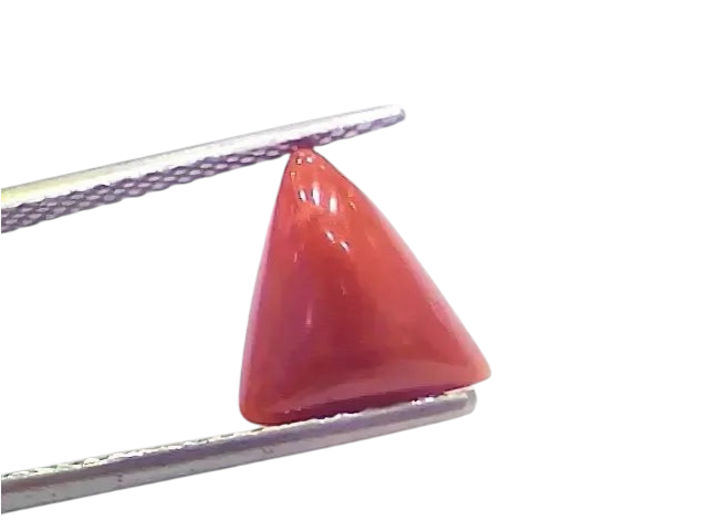 3.74 Ct 4.10 Ratti Natural Italian Triangle Red Coral Moonga Gemstone - Venus Gems