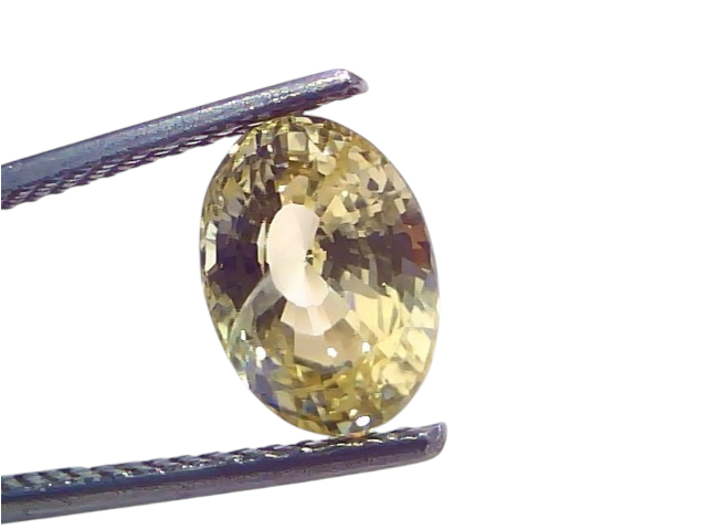 3.37 Ct IGI Certified Unheated Natural Ceylon Yellow Sapphire Pukhraj, oval cut, held with tweezers, showcasing its brillianc