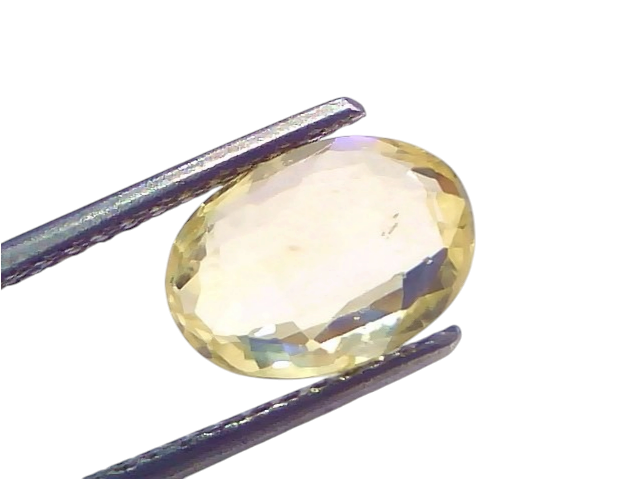 3.37 Ct IGI Certified Unheated Natural Ceylon Yellow Sapphire Pukhraj, oval cut, displayed with tweezers against a light back