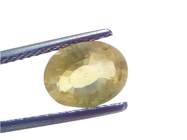 3.53 Carat Certified Ceylon Yellow Sapphire Pukhraj Stone, oval cut, held with tweezers against a light background.