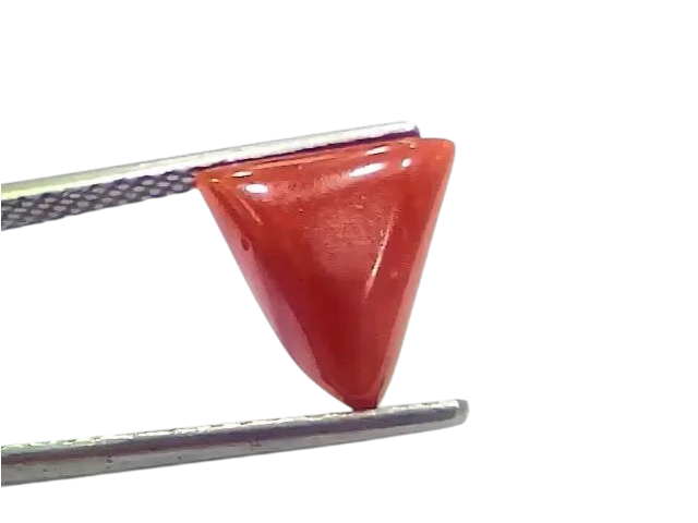 3.78 Ct 4.15 Ratti Natural Italian Triangle Red Coral Moonga Gemstone - Venus Gems