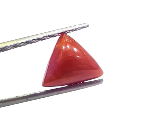 3.92 Ct 4.30 Ratti Natural Italian Triangle Red Coral Moonga Gemstone - Venus Gems