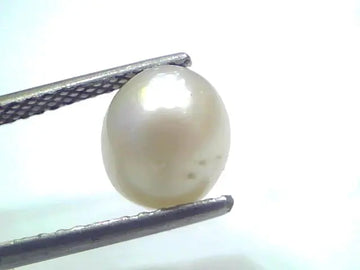 4.20 Ct Natural Certified Real South Sea Pearl Certified Moti
