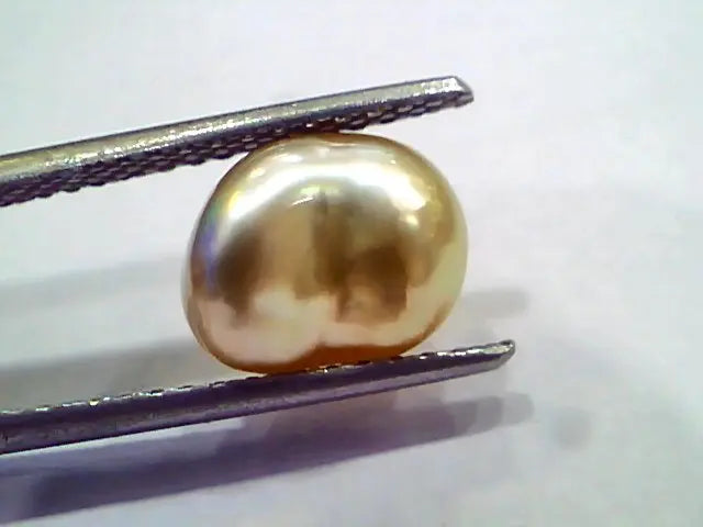 4.05 Ct Certified Natural Venunjula Real Pearl, Real Moti