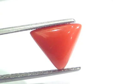 4.06 Ct 6.7 Ratti Natural Italian Triangle Red Coral Moonga Gemstone