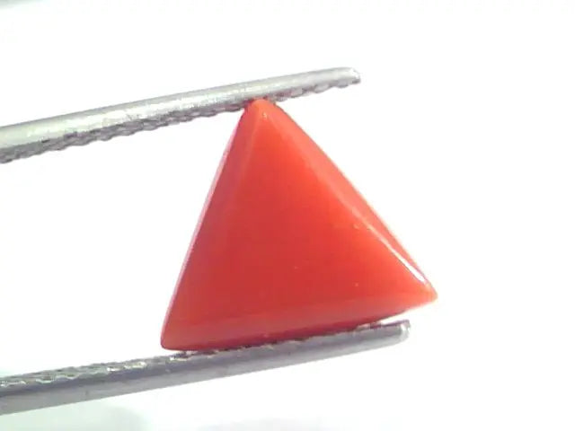 4.06 Ct 6.7 Ratti Natural Italian Triangle Red Coral Moonga Gemstone