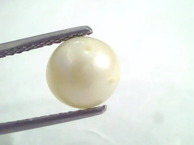 4.39 Ct Natural Certified Real South Sea Pearl,Certified Moti