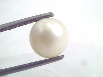 5.46 Ct Natural Certified Real South Sea Pearl,Certified Moti