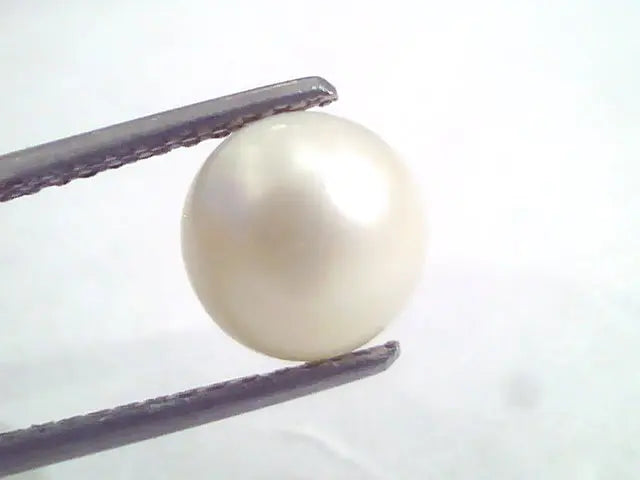 5.46 Ct Natural Certified Real South Sea Pearl,Certified Moti