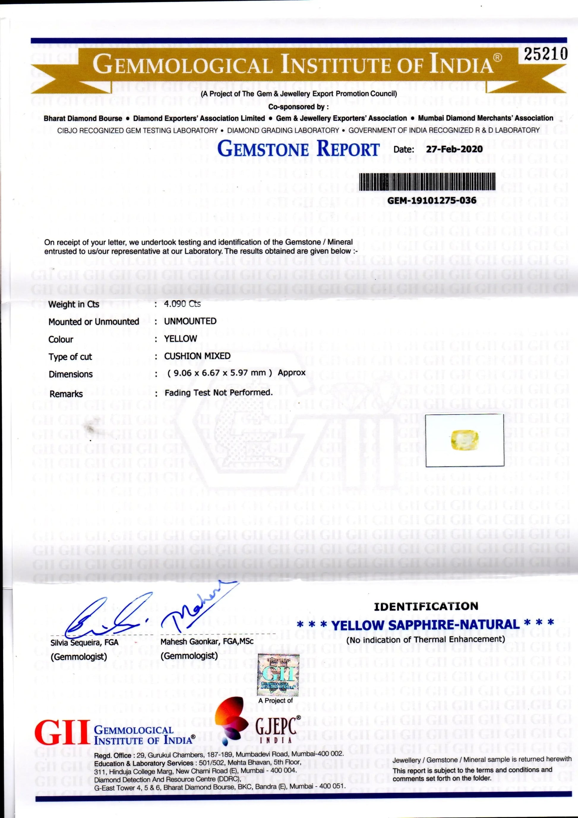 4.09 Ct GII Certified Unheated Untreated Natural Ceylon Yellow Sapphire - Venus Gems