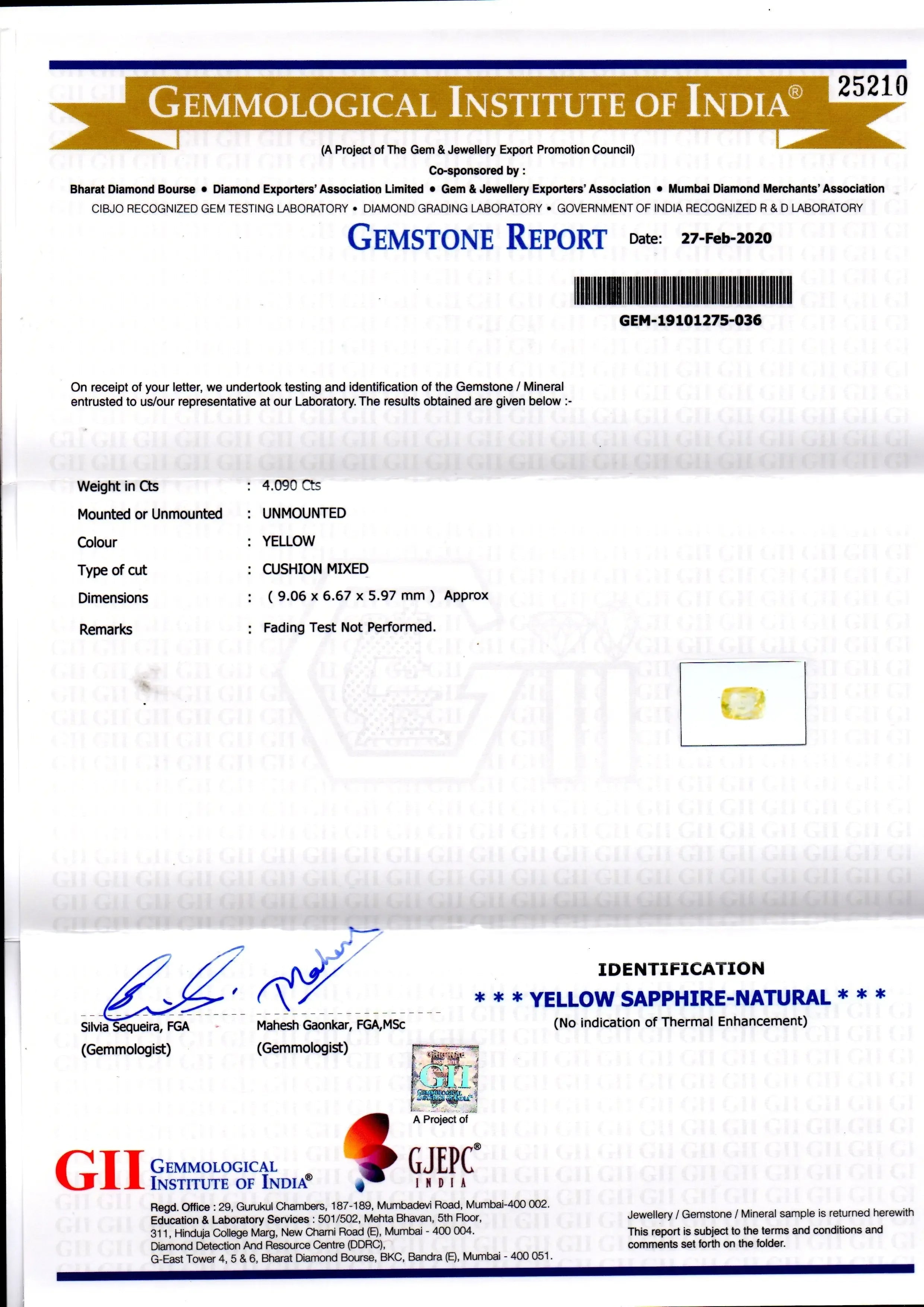 4.09 Ct GII Certified Unheated Untreated Natural Ceylon Yellow Sapphire - Venus Gems