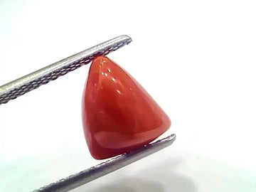 3.97 Ct 4.36 Ratti Natural Italian Triangle Red Coral Moonga Gemstone - Venus Gems