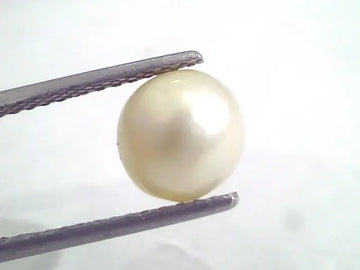 4.14 Ct Natural Certified Real South Sea Pearl,Certified Moti