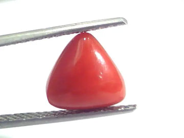 4.17 Ct 6.9 Ratti Natural Italian Triangle Red Coral Moonga Gemstone