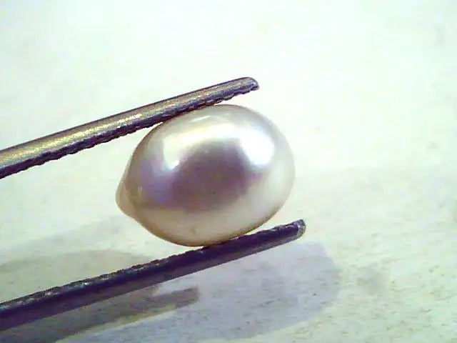 4.18 Ct Certified Natural Venunjula Real Pearl/Real Moti For Moon