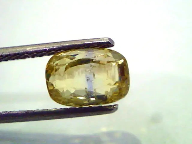 4.21 Unheated Untreted Natural Yellow Blue Pitambari Sapphire