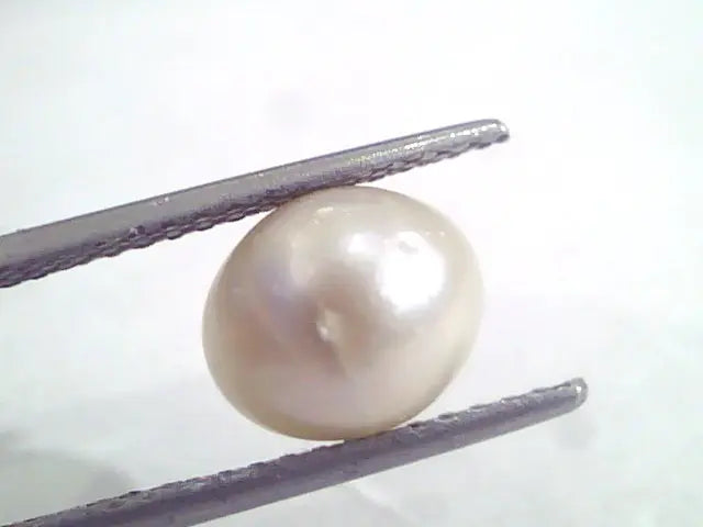 5.71 Ct Natural Certified Real South Sea Pearl,Certified Moti