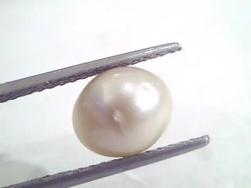 5.71 Ct Natural Certified Real South Sea Pearl,Certified Moti