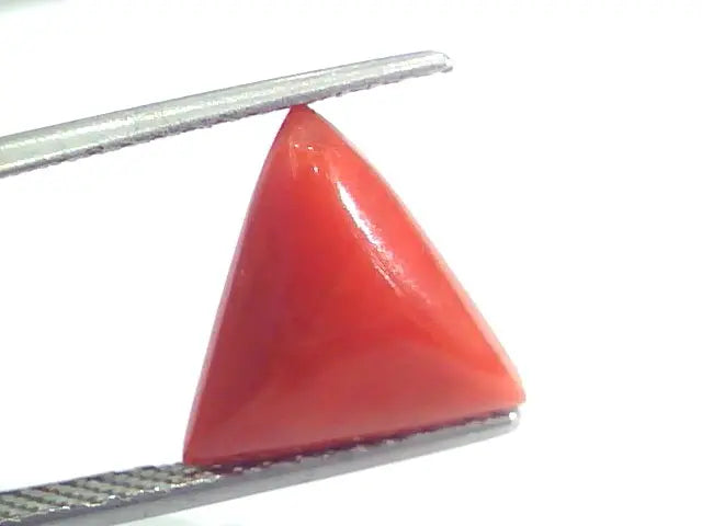 4.25 Ct 7 Ratti Natural Italian Triangle Red Coral Moonga Gemstone