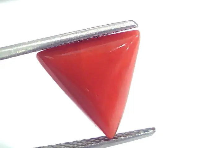 4.25 Ct 7 Ratti Natural Italian Triangle Red Coral Moonga Gemstone