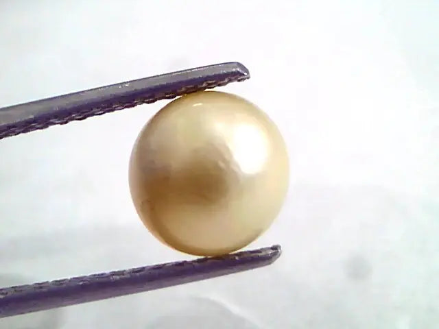 5.50 Ct Natural Certified Real South Sea Pearl,Certified Moti