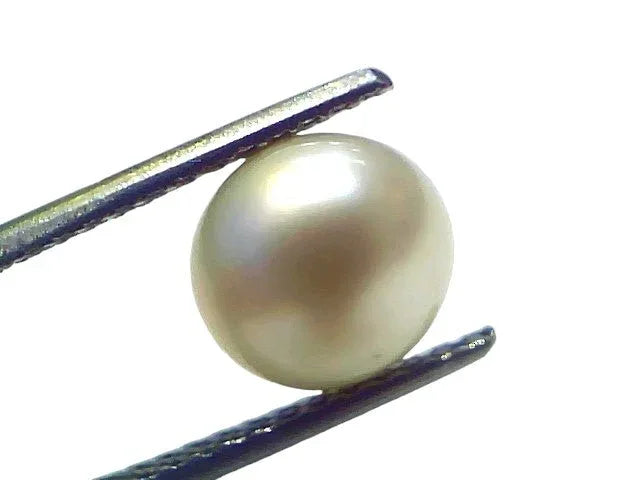 4.26 Ct Natural Certified Real South Sea Pearl Certified Moti - Venus Gems